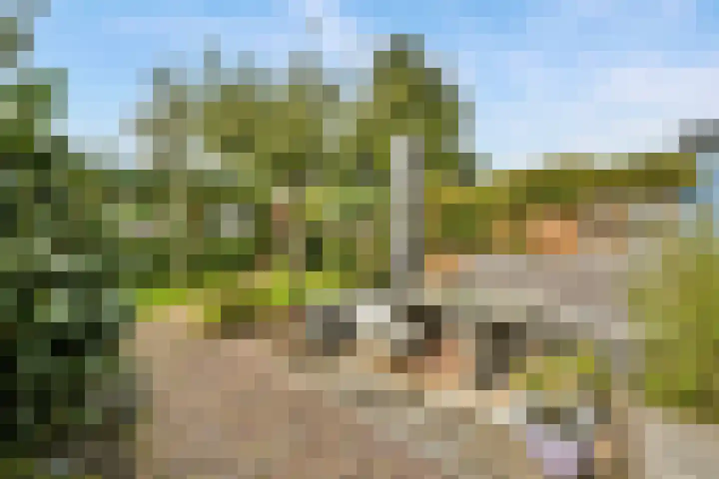 Korte Hartweg 24 Soest thumbnail 18