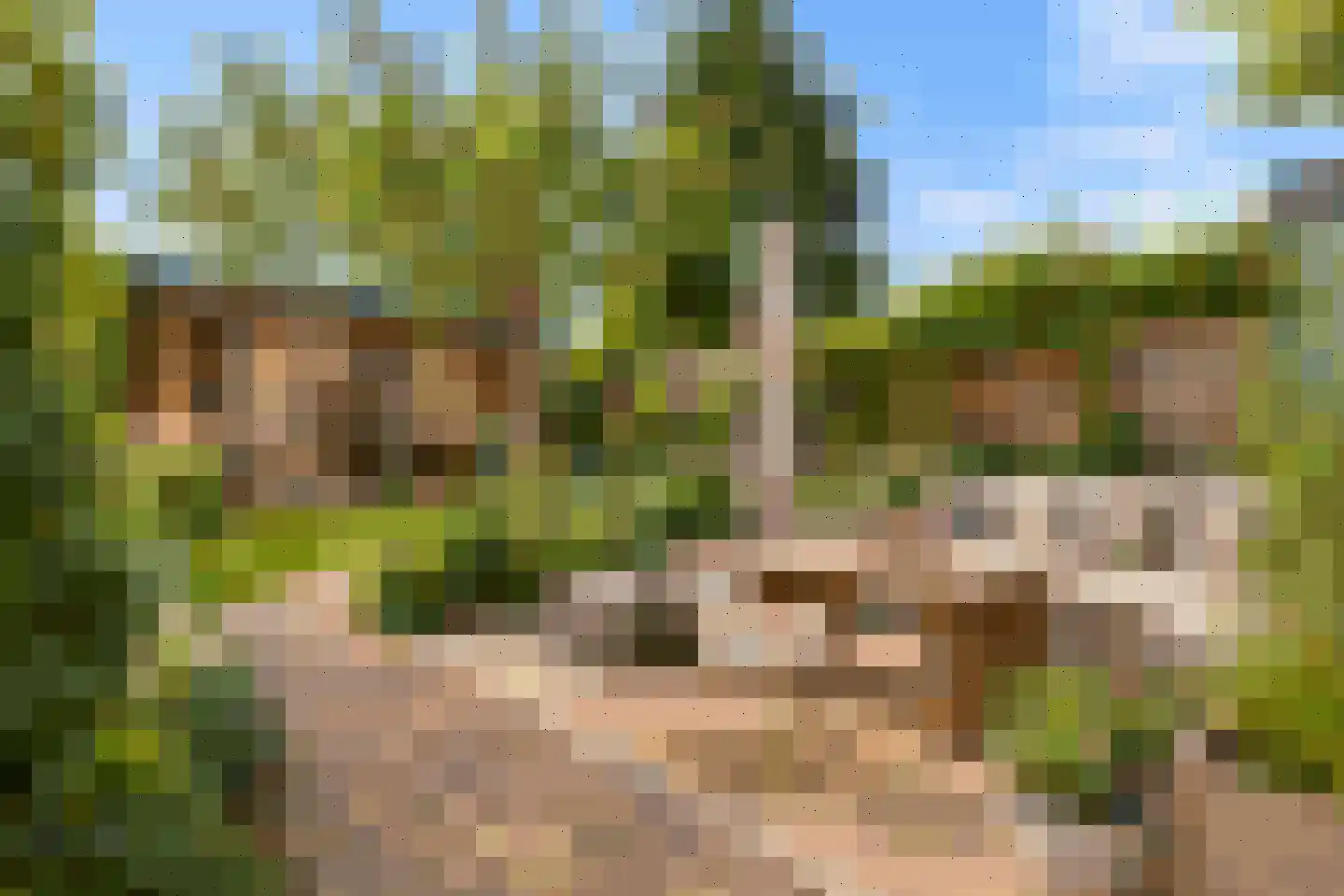 Korte Hartweg 24 Soest thumbnail 19