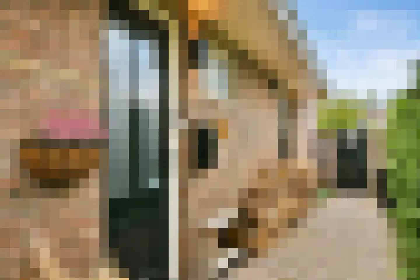 Korte Hartweg 24 Soest thumbnail 4
