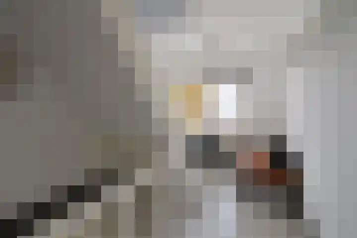 Korte Hartweg 8 Soest thumbnail 9
