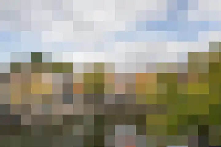 Korte Haven 127 C Schiedam thumbnail 26