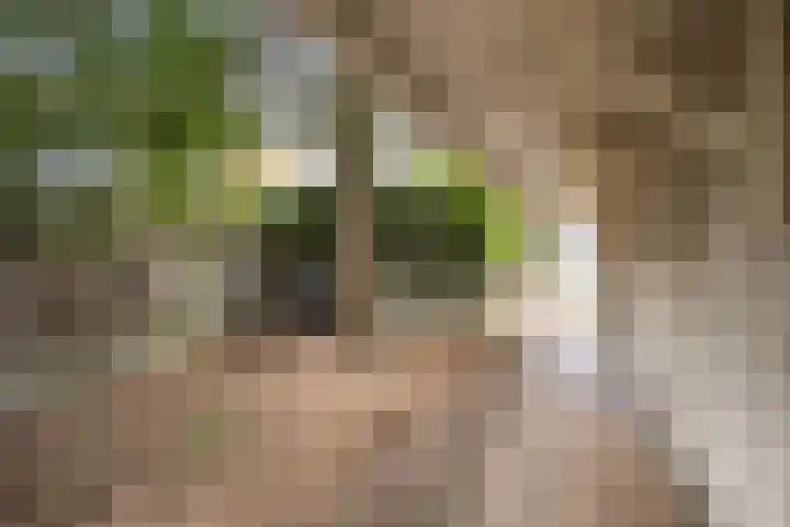 Korte Haven 127 C Schiedam thumbnail 41