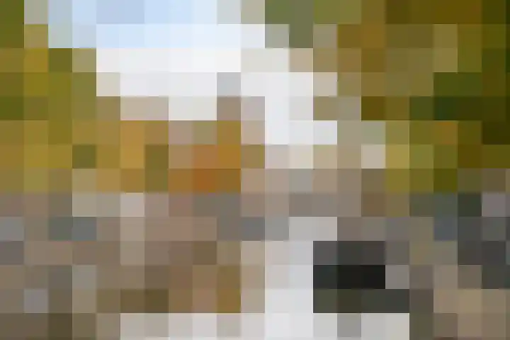 Korte Haven 127 C Schiedam thumbnail 43