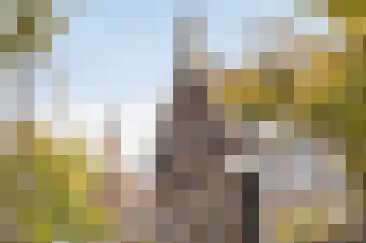 Korte Haven 127 C Schiedam thumbnail 45