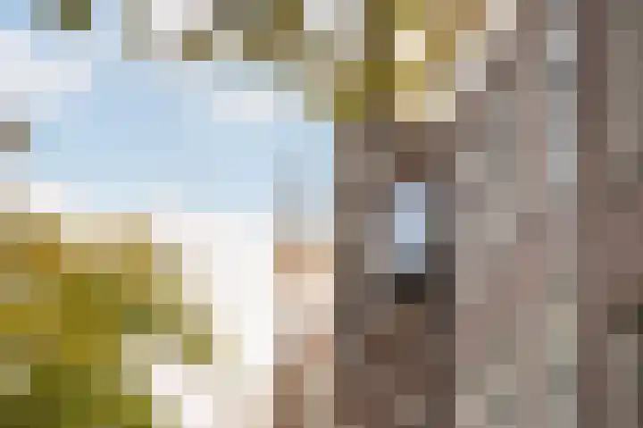 Korte Haven 127 C Schiedam thumbnail 48