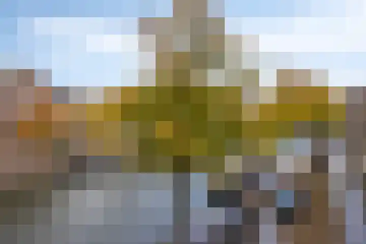 Korte Haven 51 Schiedam thumbnail 15