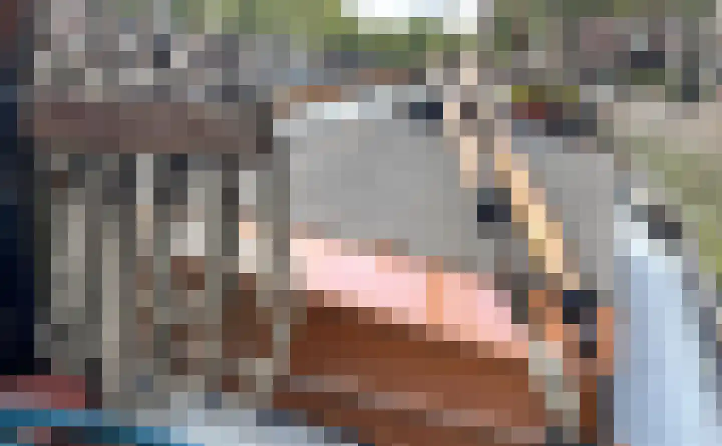 Korte Haven 56 Schiedam thumbnail 8