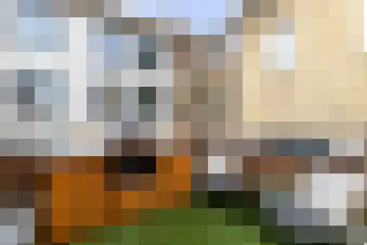 Korte Haven 7 C Schiedam thumbnail 28