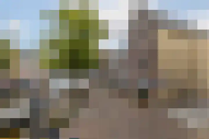 Korte Haven 7 C Schiedam thumbnail 45