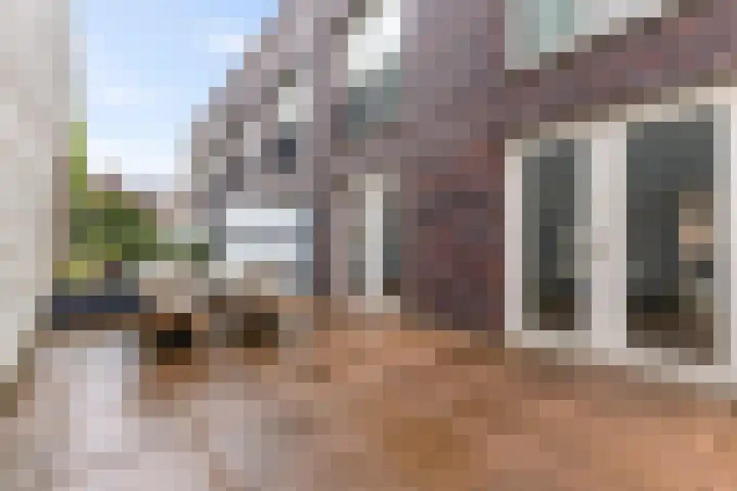 Korte Havenstraat 18 's-Hertogenbosch thumbnail 11
