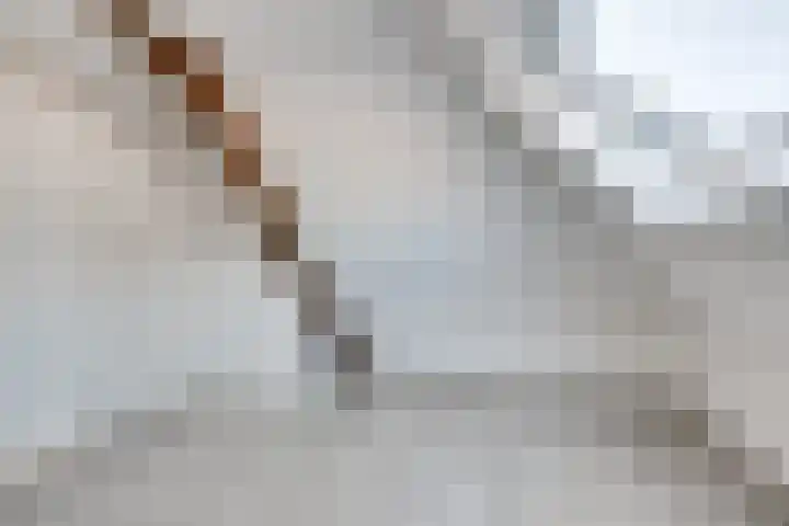 Korte Heezenstraat 14 A Doetinchem thumbnail 31