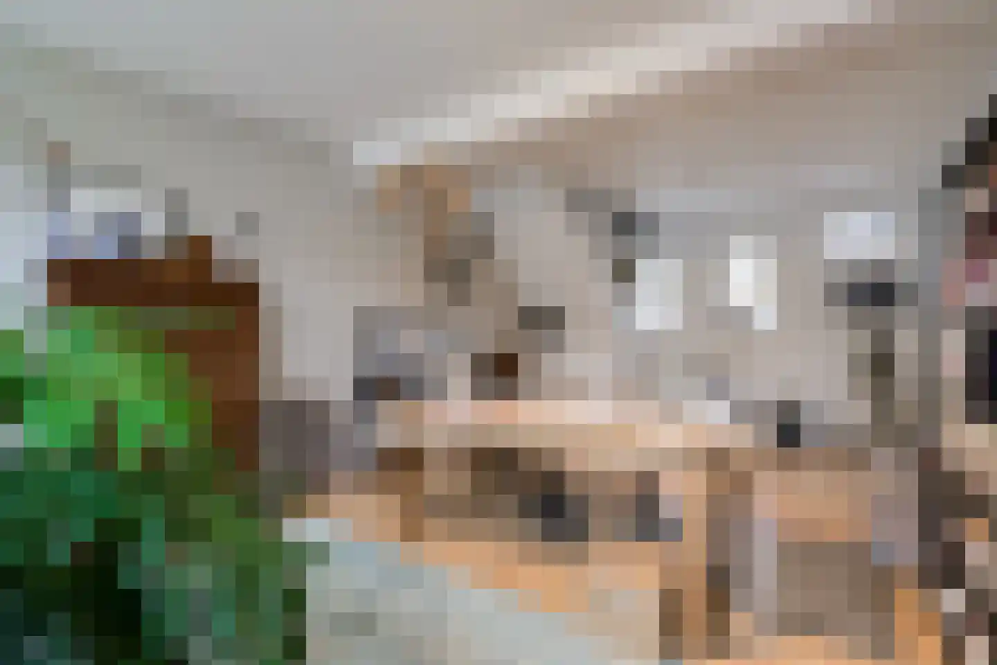 Korte Heezenstraat 5 Doetinchem thumbnail 10