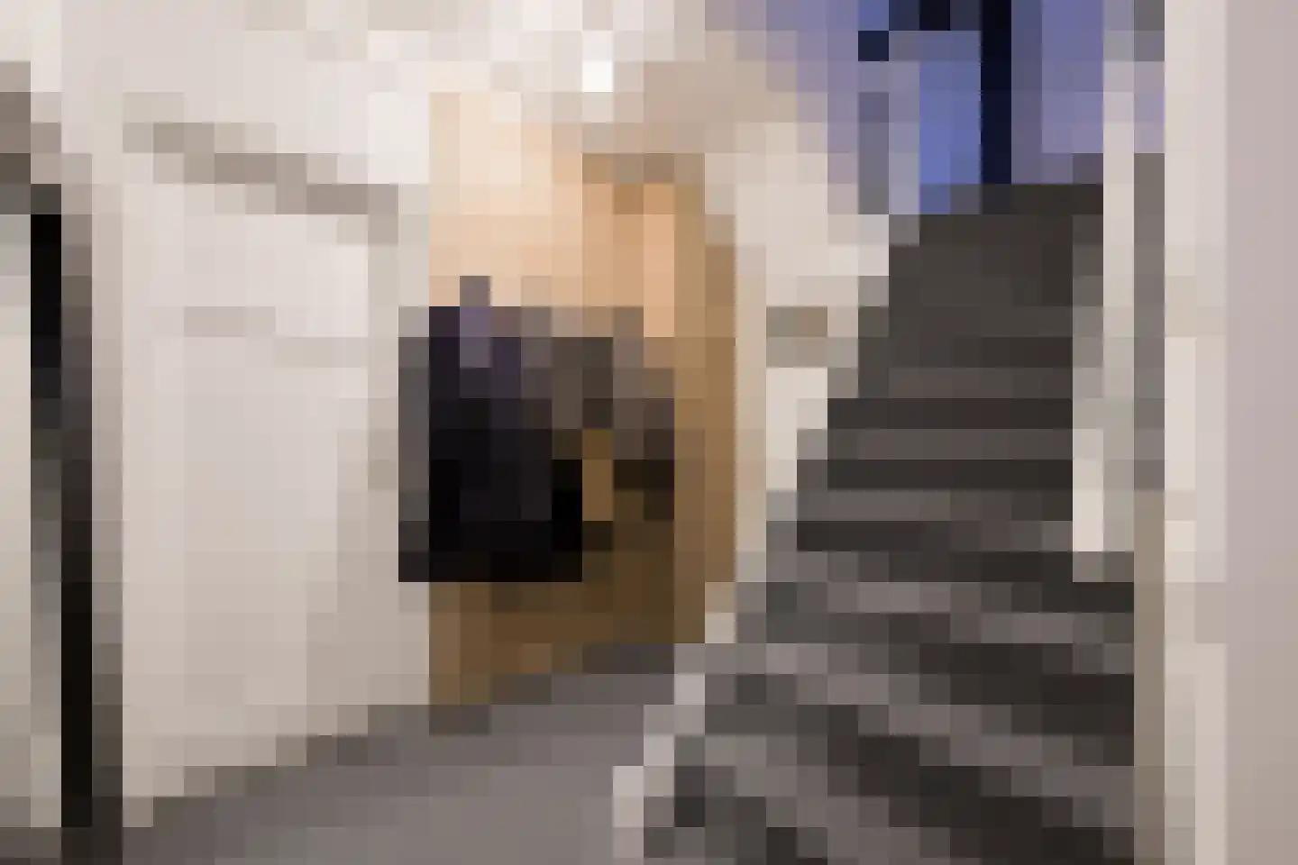 Korte Heezenstraat 5 Doetinchem thumbnail 20