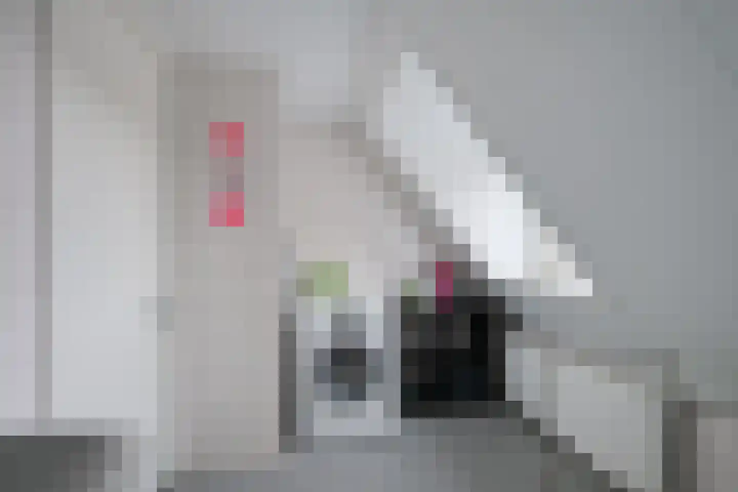 Korte Heezenstraat 5 Doetinchem thumbnail 34