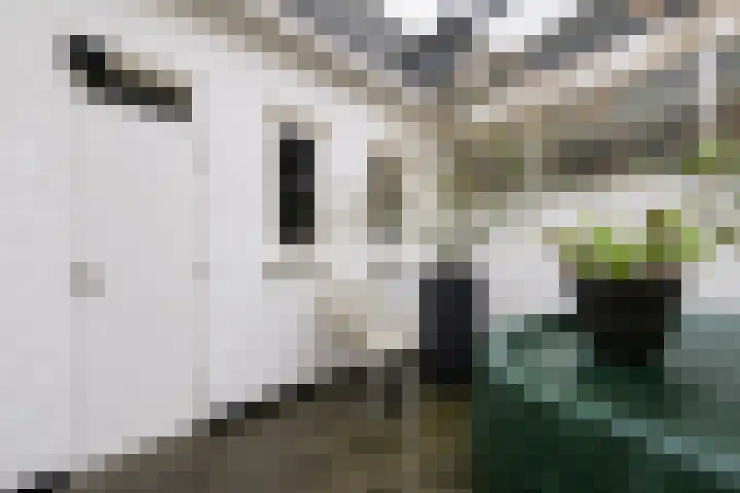 Korte Heezenstraat 5 Doetinchem thumbnail 36