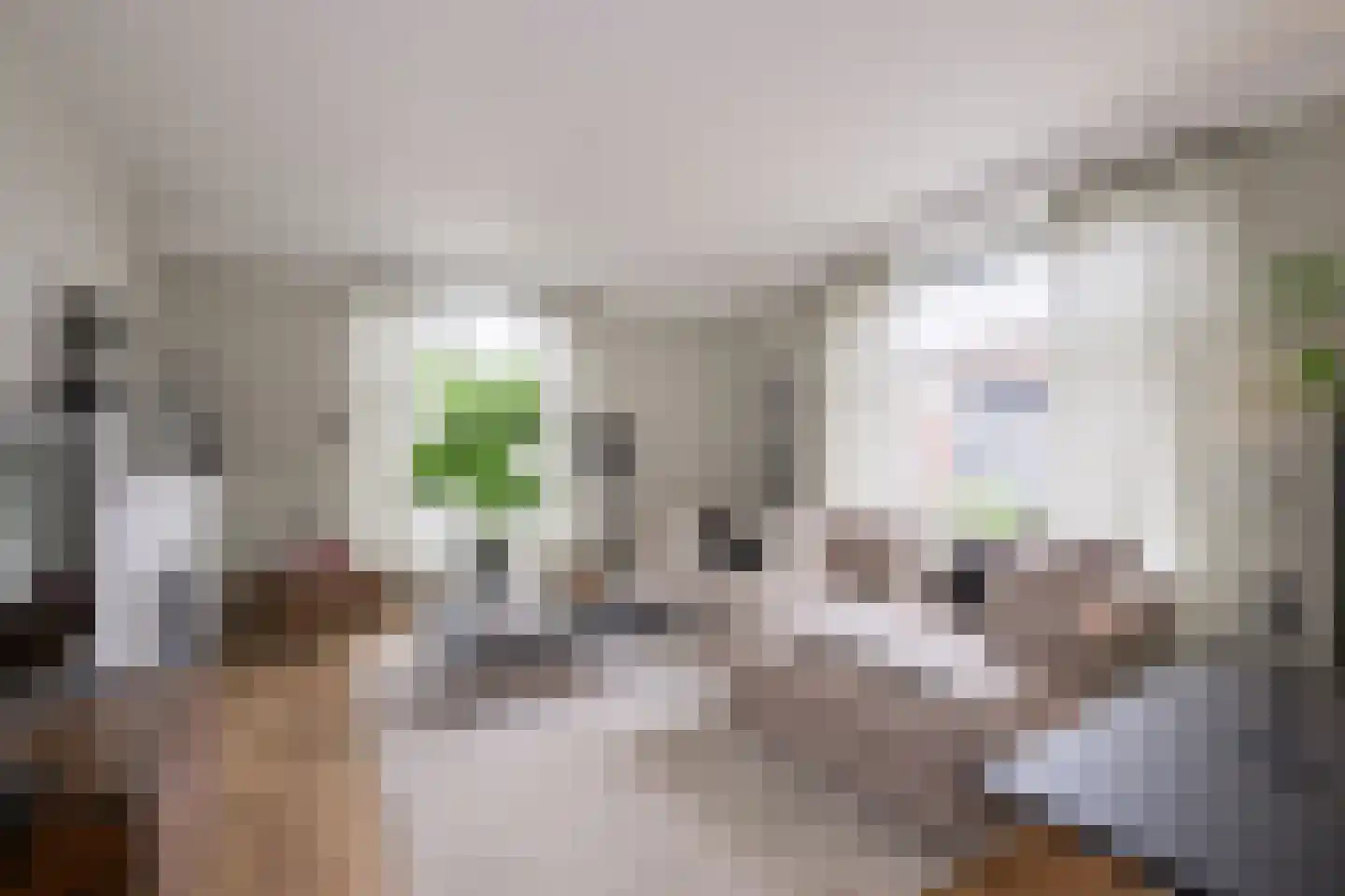 Korte Heezenstraat 5 Doetinchem thumbnail 4