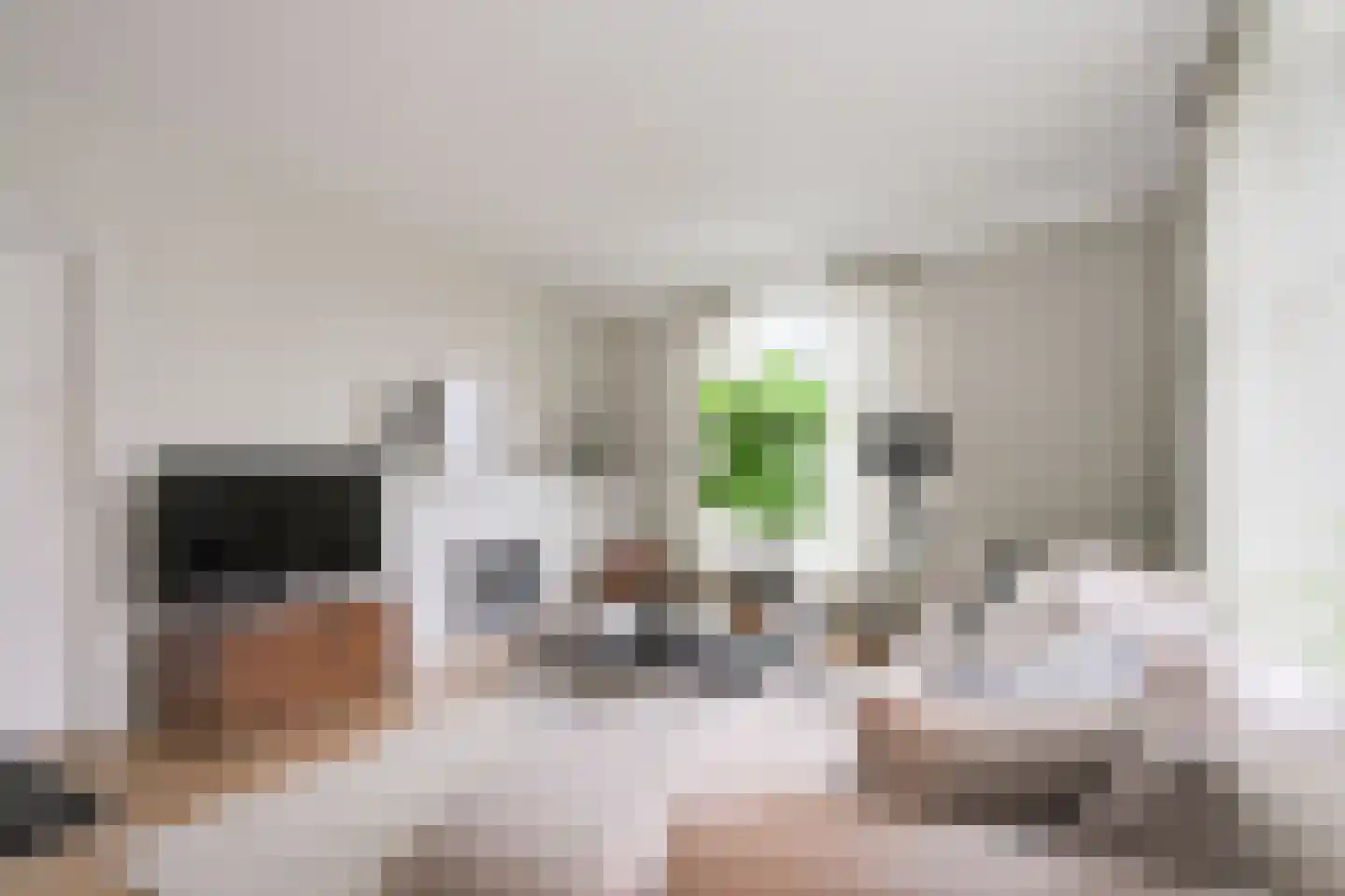 Korte Heezenstraat 5 Doetinchem thumbnail 5