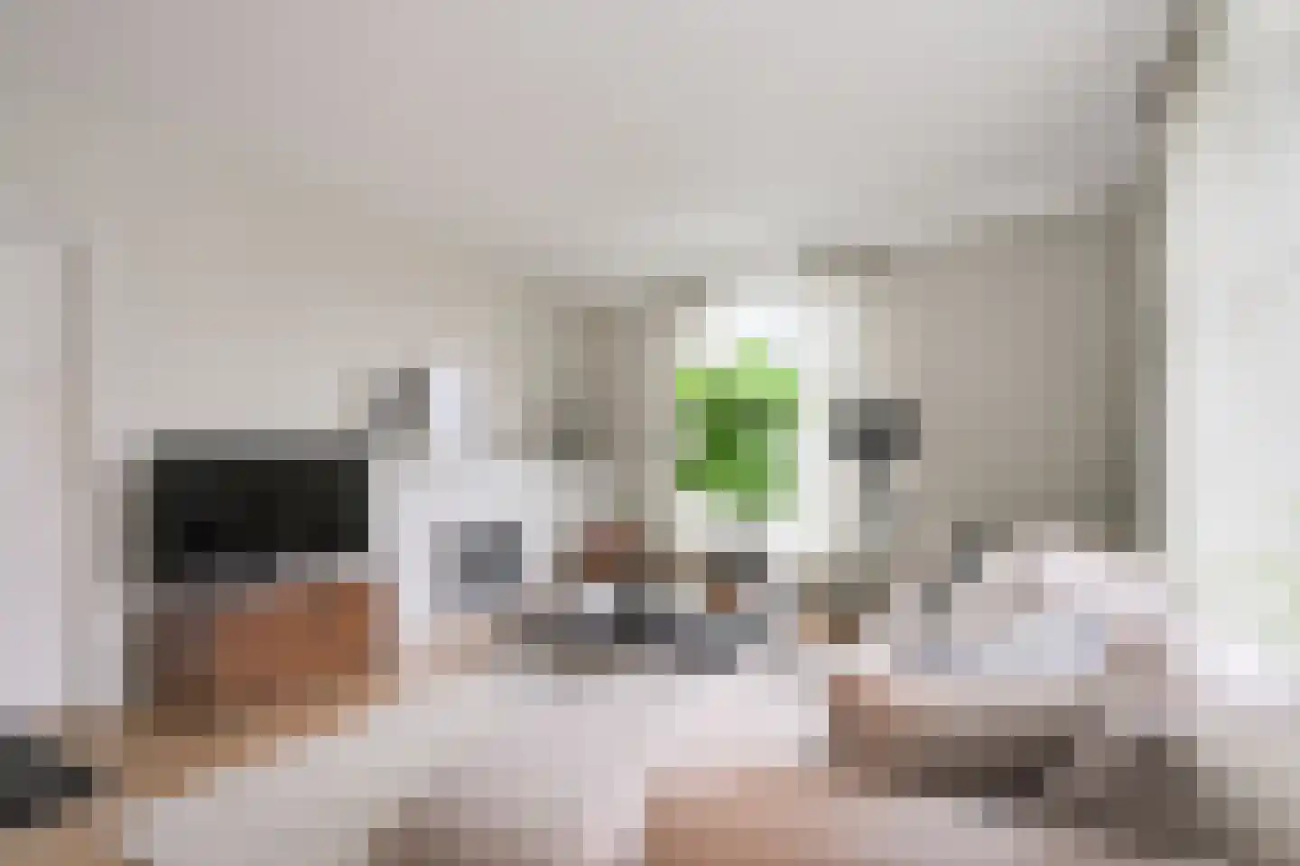 Korte Heezenstraat 5 Doetinchem thumbnail 5