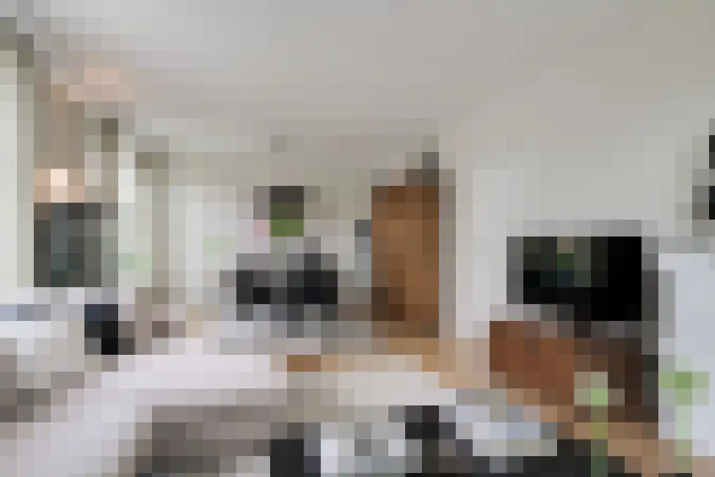 Korte Heezenstraat 5 Doetinchem thumbnail 6