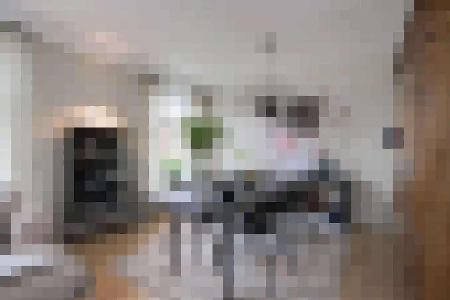 Korte Heezenstraat 5 Doetinchem thumbnail 7