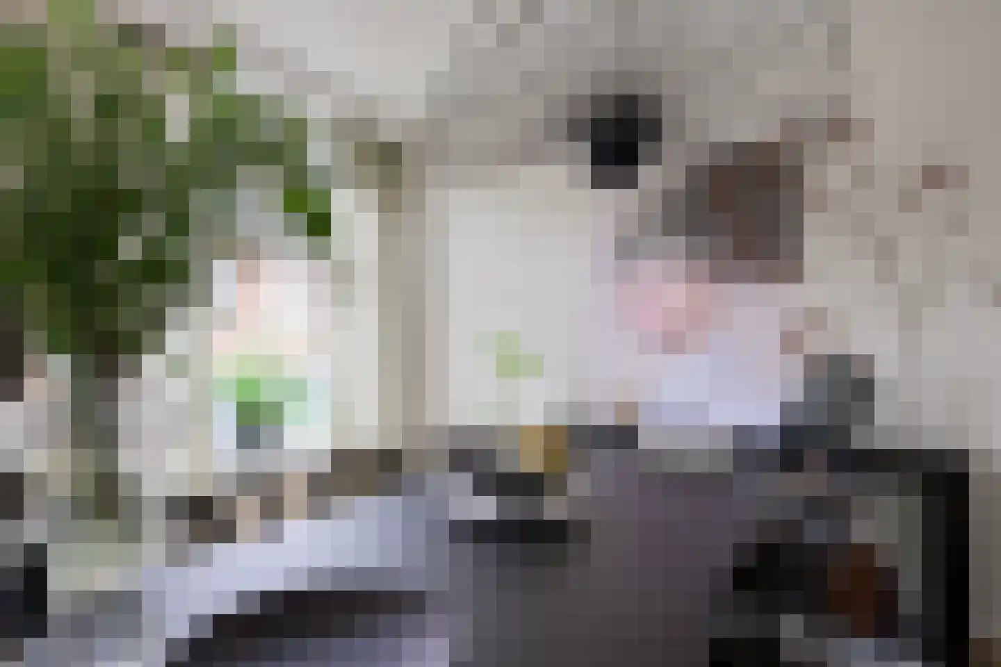 Korte Heezenstraat 5 Doetinchem thumbnail 8