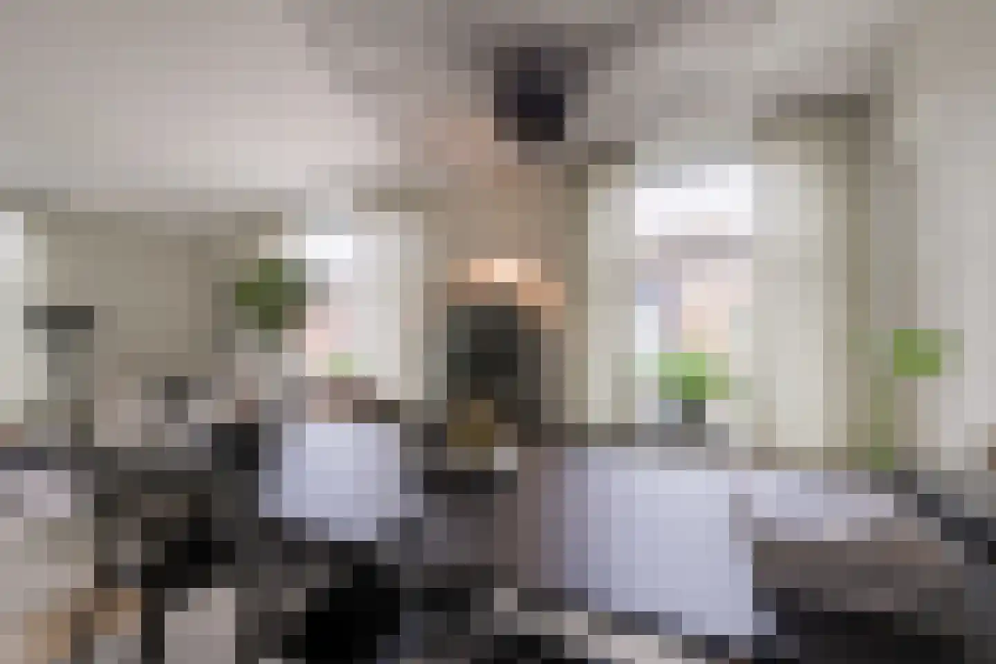 Korte Heezenstraat 5 Doetinchem thumbnail 9