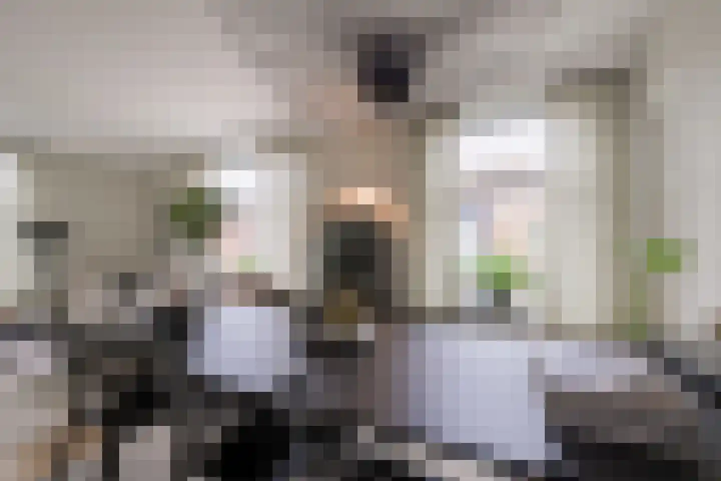 Korte Heezenstraat 5 Doetinchem thumbnail 9