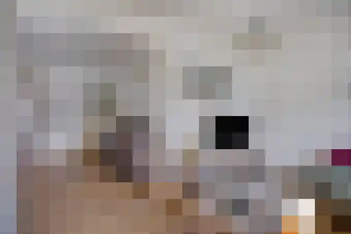Korte Heistraat 1 Vlijmen thumbnail 4