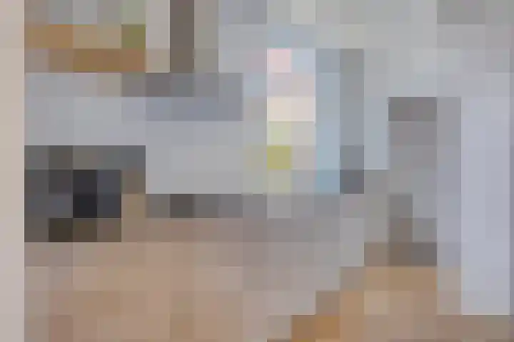 Korte Heistraat 1 Vlijmen thumbnail 7