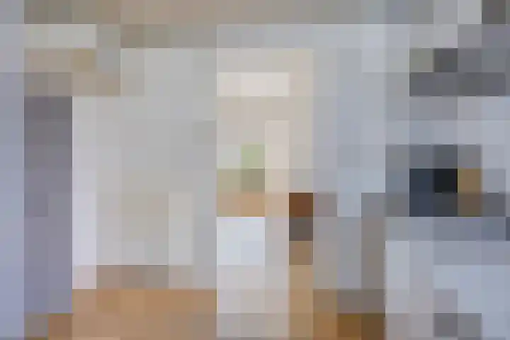 Korte Heistraat 1 Vlijmen thumbnail 8