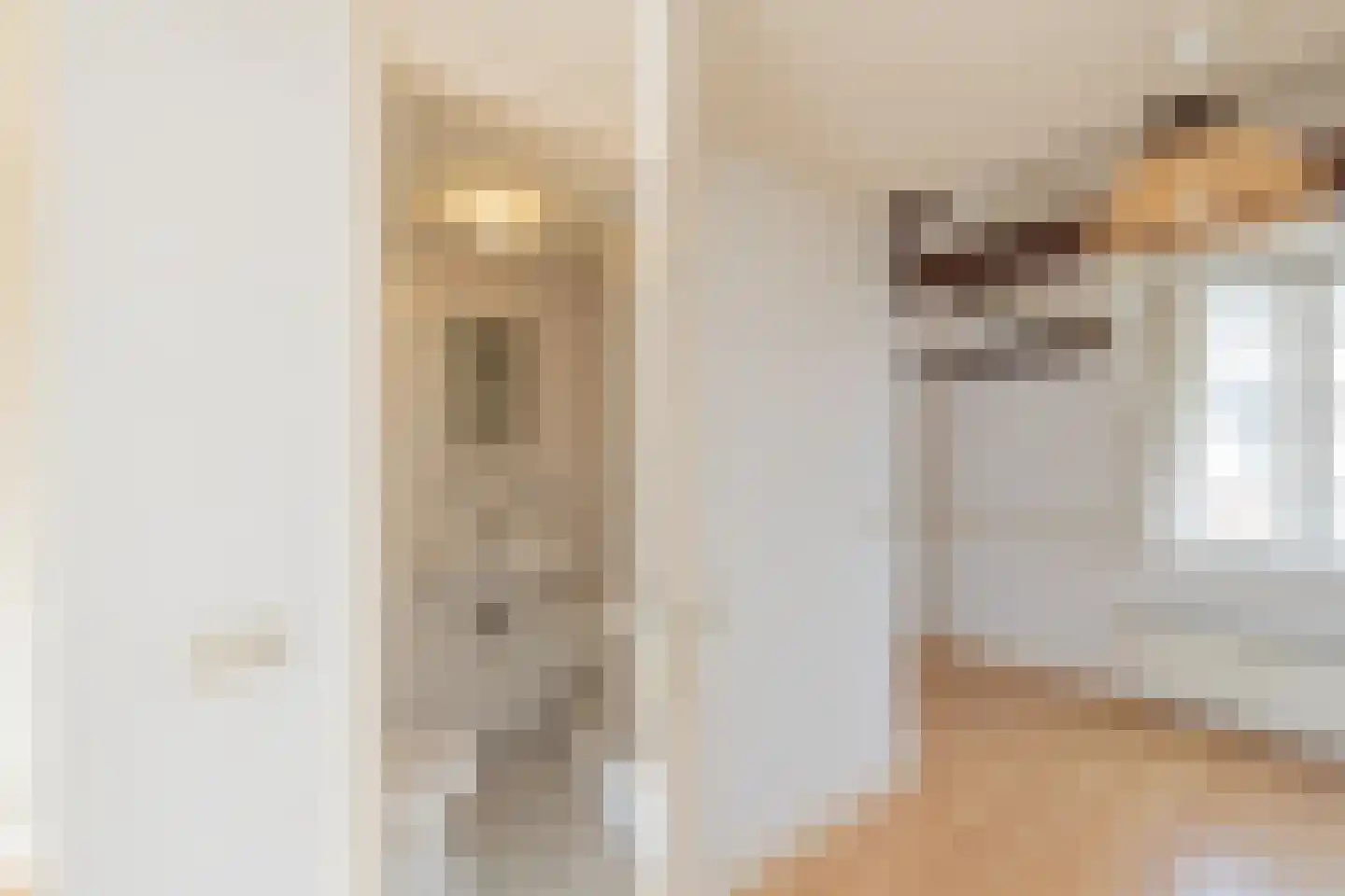 Korte Herenstraat 26 Haarlem thumbnail 20