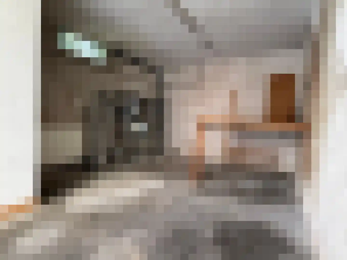 Korte Herenstraat 26 Haarlem thumbnail 23