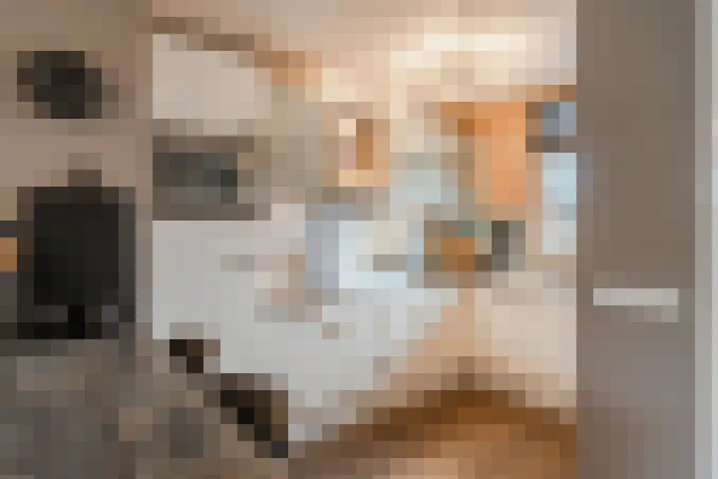 Korte Heul 113 Bussum thumbnail 4