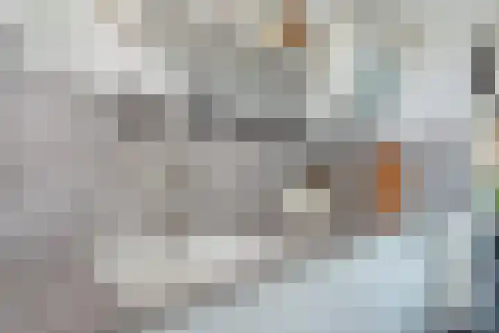 Korte Heul 139 Bussum thumbnail 14