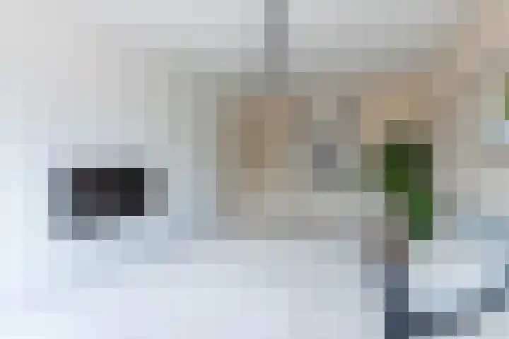 Korte Heul 139 Bussum thumbnail 22