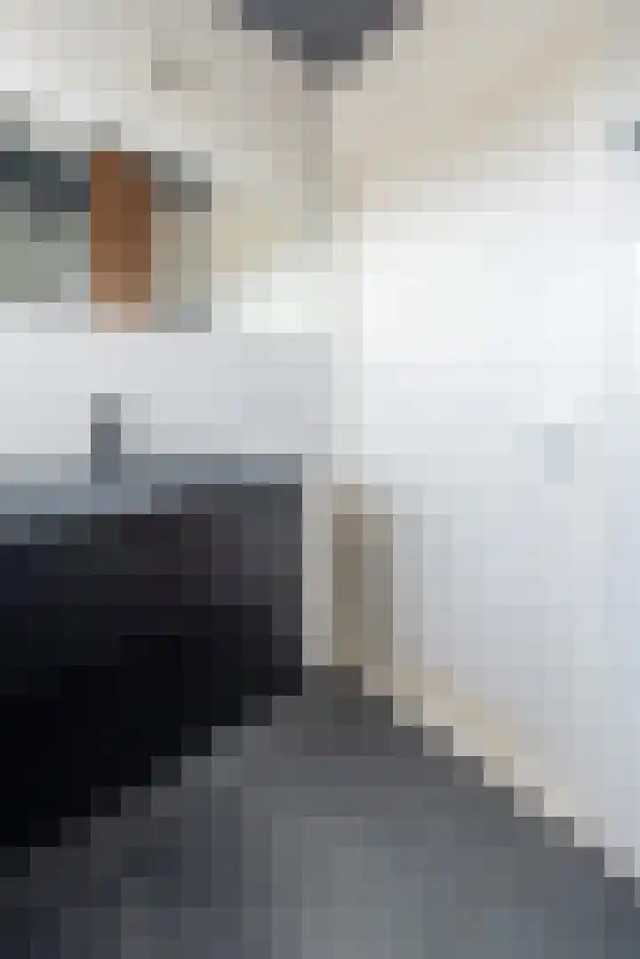Korte Heul 139 Bussum thumbnail 27