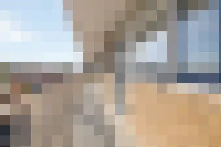 Korte Heul 169 Bussum thumbnail 20