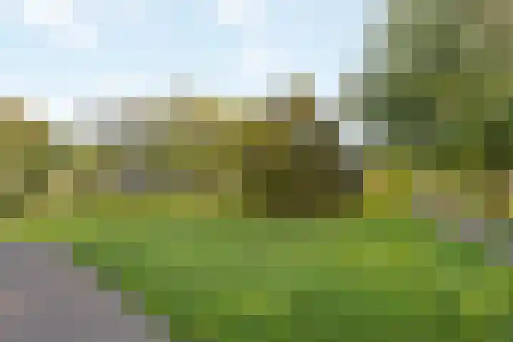 Korte Heul 169 Bussum thumbnail 23