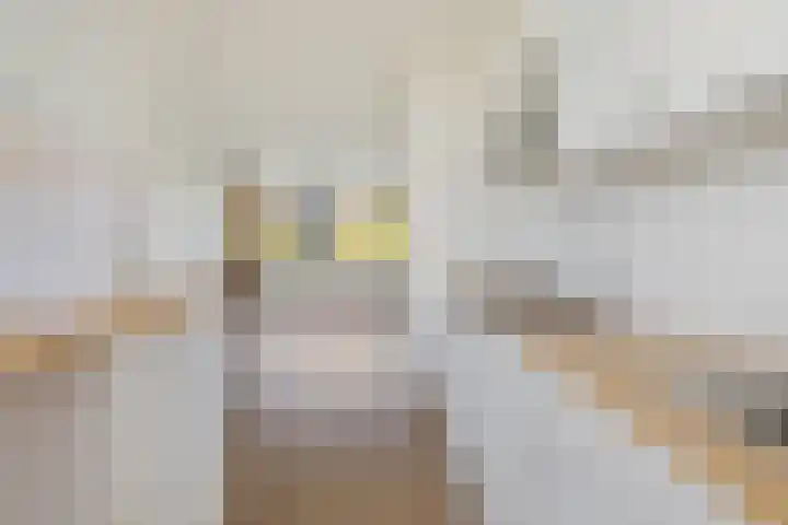 Korte Heul 169 Bussum thumbnail 8