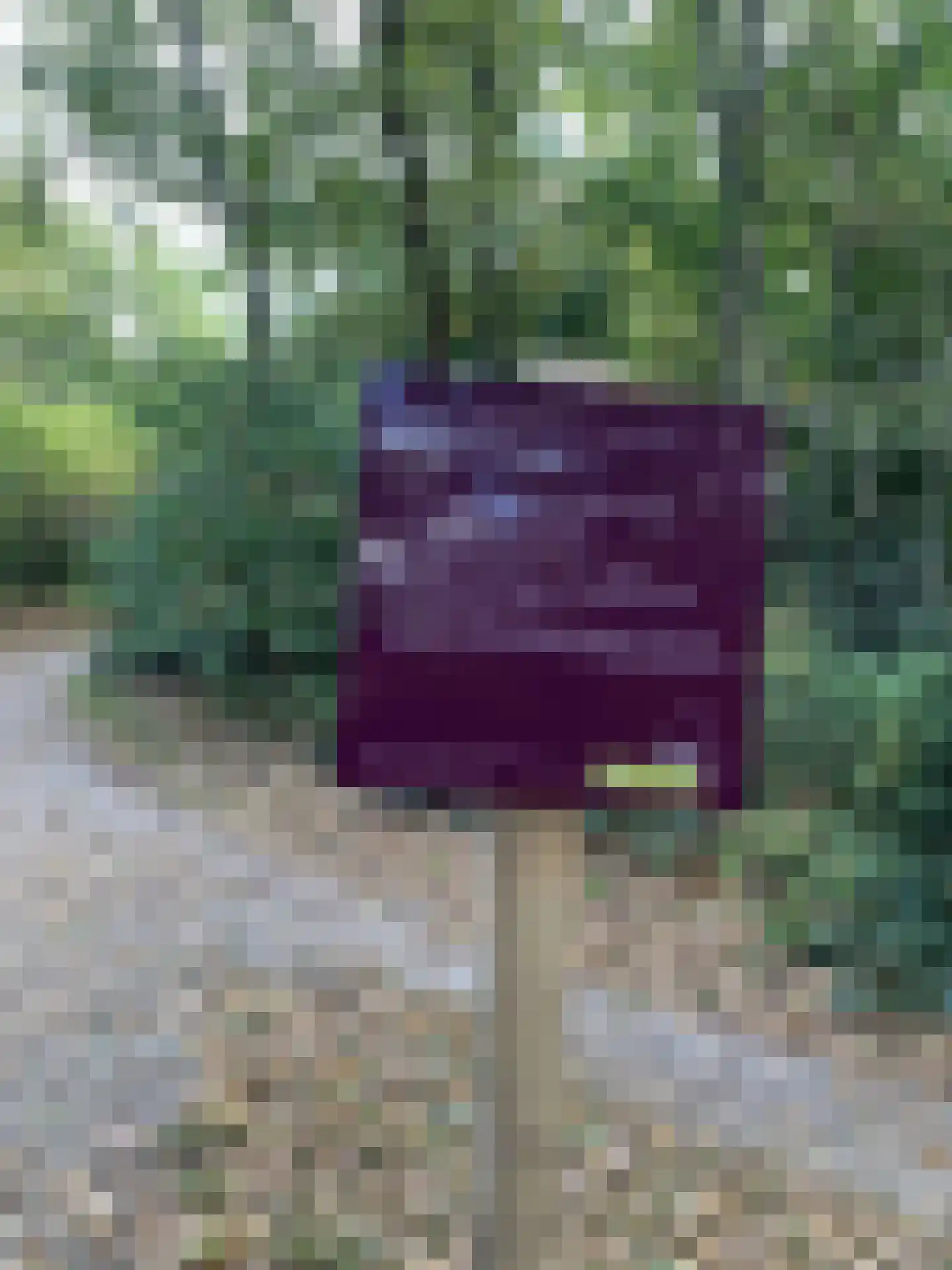 Korte Heul 175 Bussum thumbnail 19