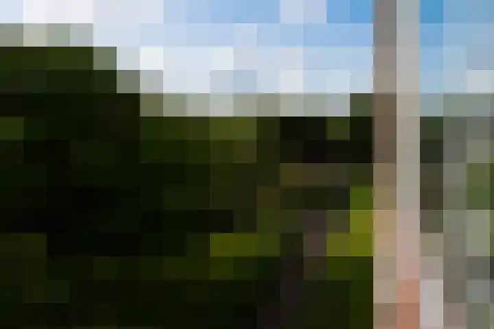 Korte Heul 179 Bussum thumbnail 11