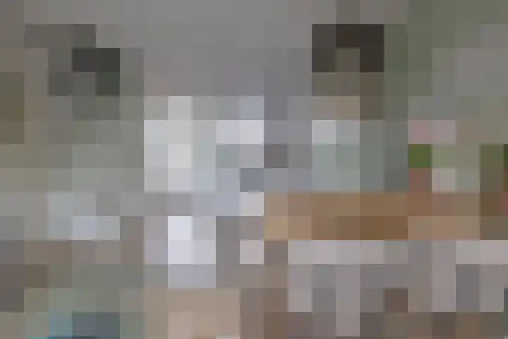 Korte Heul 179 Bussum thumbnail 12