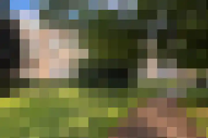 Korte Heul 179 Bussum thumbnail 4