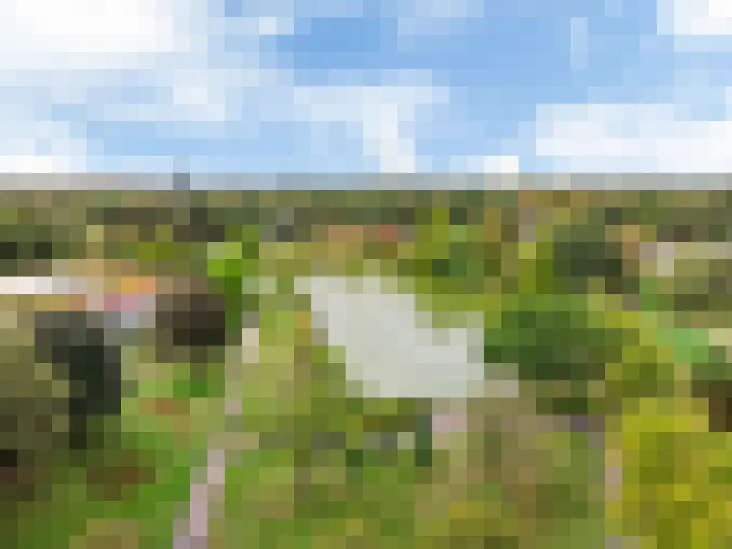 Korte Heul 181 Bussum thumbnail 35