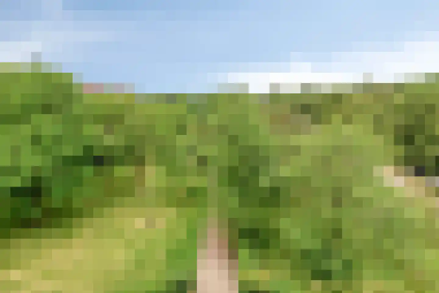 Korte Heul 199 Bussum thumbnail 23