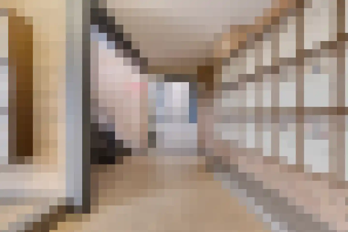 Korte Heul 199 Bussum thumbnail 5
