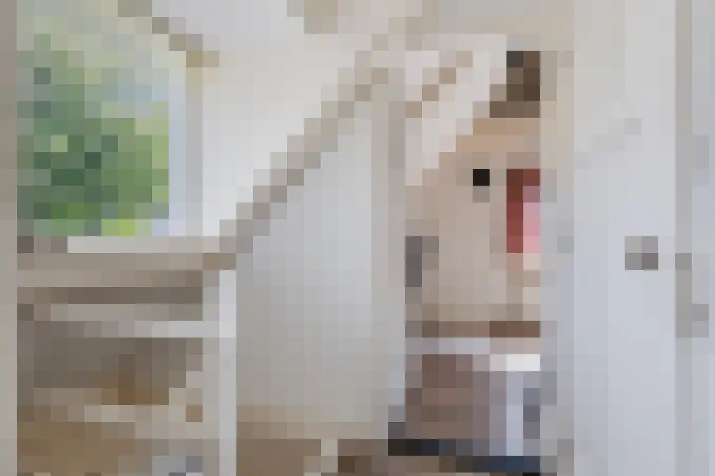 Korte Hezeweg 4 Apeldoorn thumbnail 20