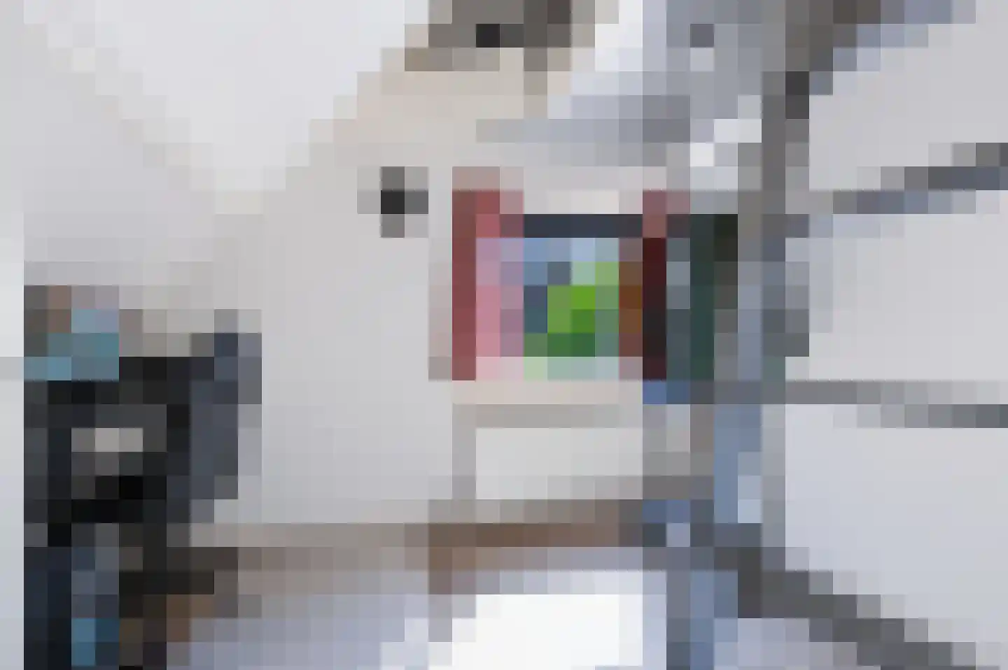 Korte Hezeweg 4 Apeldoorn thumbnail 23