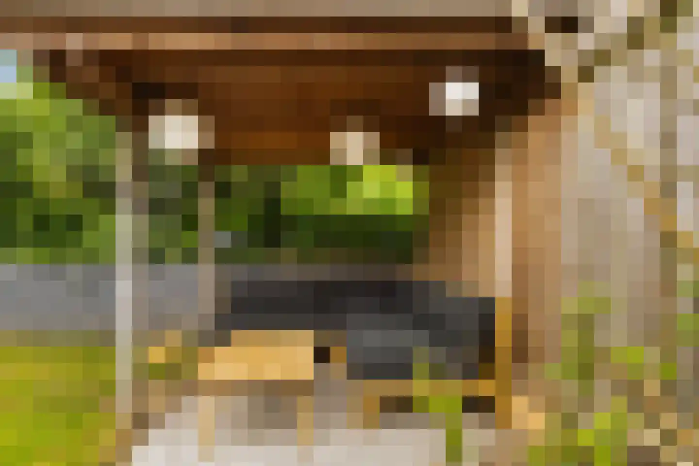 Korte Hezeweg 6 Apeldoorn thumbnail 24