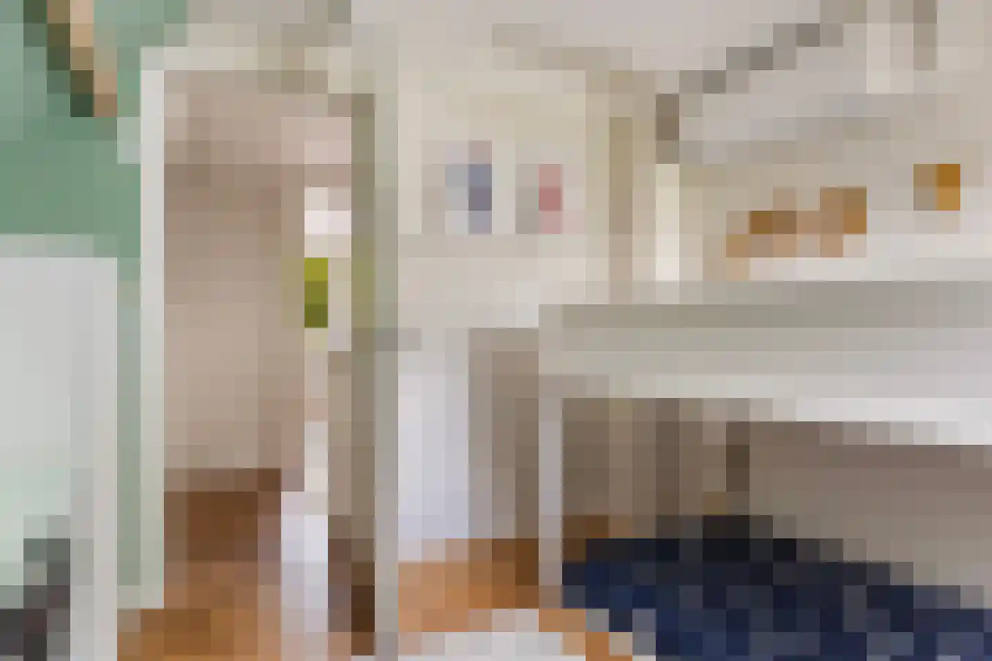 Korte Hezeweg 6 Apeldoorn thumbnail 31